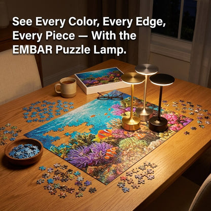 The EMBAR Puzzle Lamp.